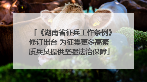 《湖南省征兵工作条例》修订出台 为征集更多高素质兵员提供坚强法治保障