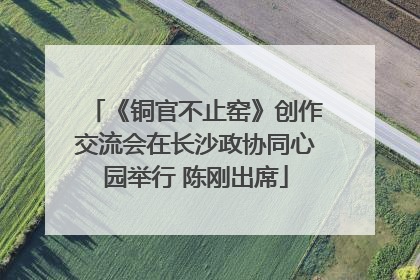 《铜官不止窑》创作交流会在长沙政协同心园举行 陈刚出席