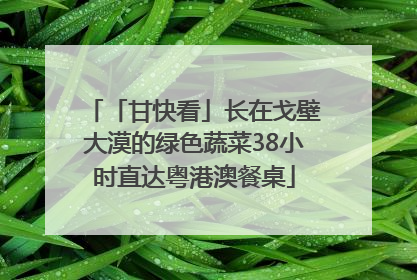 「甘快看」长在戈壁大漠的绿色蔬菜38小时直达粤港澳餐桌