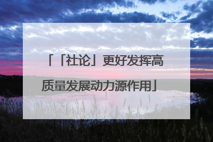 「社论」更好发挥高质量发展动力源作用