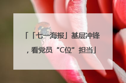 「七一海报」基层冲锋，看党员“C位”担当