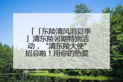 「东陵清风消夏季」清东陵暑期特别活动，“清东陵大使”招募啦！用你的热爱守护世界遗产！