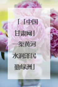「中国甘肃网」一渠黄河水润泽民勤绿洲