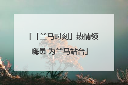 「兰马时刻」热情领嗨员 为兰马站台