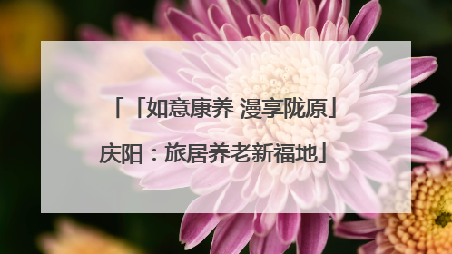 「如意康养 漫享陇原」庆阳：旅居养老新福地