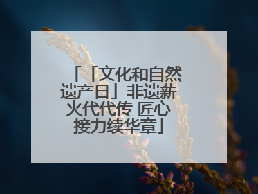 「文化和自然遗产日」非遗薪火代代传 匠心接力续华章