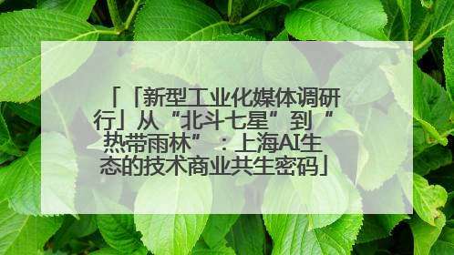 「新型工业化媒体调研行」从“北斗七星”到“热带雨林”：上海AI生态的技术商业共生密码