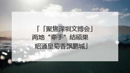 「聚焦深圳文博会」两地“牵手”结硕果 昭通皇菊香飘鹏城
