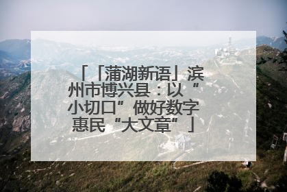 「蒲湖新语」滨州市博兴县：以“小切口”做好数字惠民“大文章”