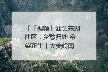 「视频」汕头东湖社区：乡愁归处 希望新生｜大美岭南·百村焕新记