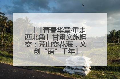 「青春华章·重走西北角」甘肃文旅嬗变：荒山变花海，文创“语”千年