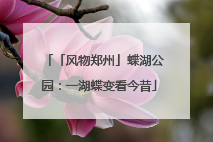 「风物郑州」蝶湖公园：一湖蝶变看今昔
