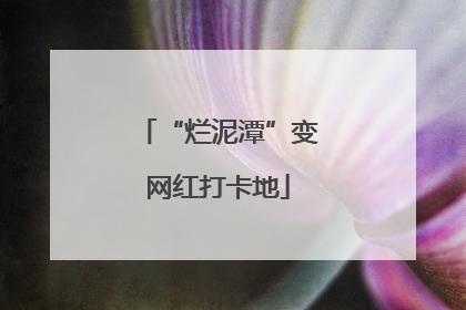 “烂泥潭”变网红打卡地