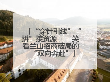 “穿针引线”“拼”接资源——笑看兰山招商破局的“双向奔赴”