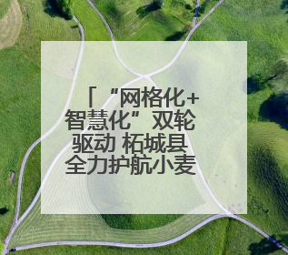 “网格化+智慧化”双轮驱动 柘城县全力护航小麦夏收