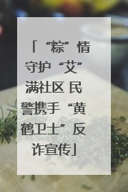“粽”情守护“艾”满社区 民警携手“黄鹤卫士”反诈宣传