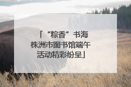 “粽香”书海 株洲市图书馆端午活动精彩纷呈