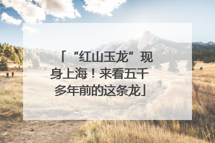 “红山玉龙”现身上海！来看五千多年前的这条龙