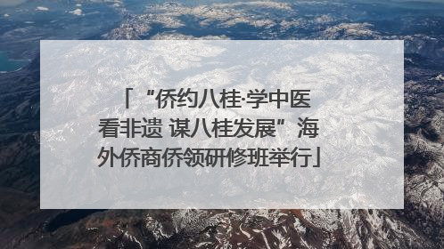 “侨约八桂·学中医 看非遗 谋八桂发展”海外侨商侨领研修班举行