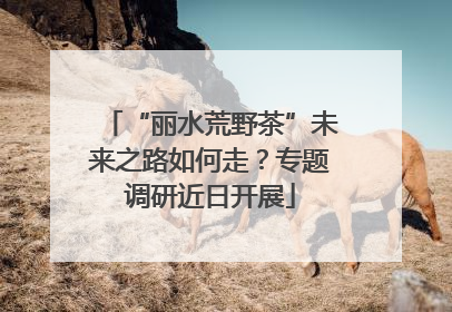 “丽水荒野茶”未来之路如何走？专题调研近日开展