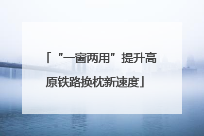 “一窗两用”提升高原铁路换枕新速度