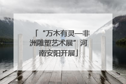 “万木有灵—非洲雕塑艺术展”河南安阳开展