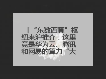 “东数西算”枢纽来沪推介，这里竟是华为云、腾讯和网易的算力“大本营”