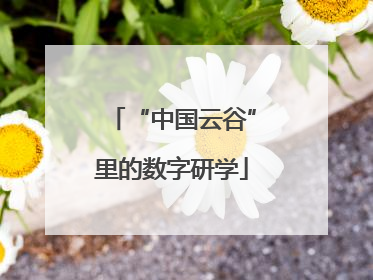 “中国云谷”里的数字研学