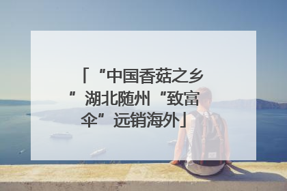 “中国香菇之乡”湖北随州“致富伞”远销海外
