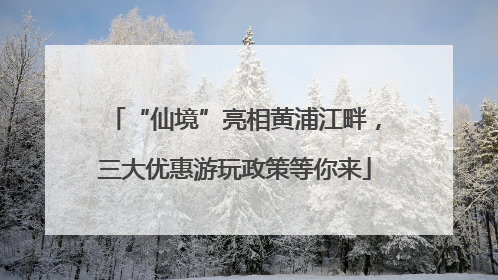“仙境”亮相黄浦江畔，三大优惠游玩政策等你来