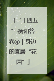 “十四五”·衡阳答卷④｜身边的宜居“花园”