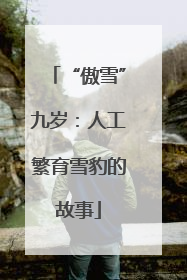 “傲雪”九岁：人工繁育雪豹的故事