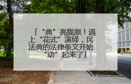 “典”亮陇原！遇上“花式”演绎，民法典的法律条文开始“动”起来了
