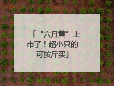 “六月黄”上市了！超小只的可按斤买