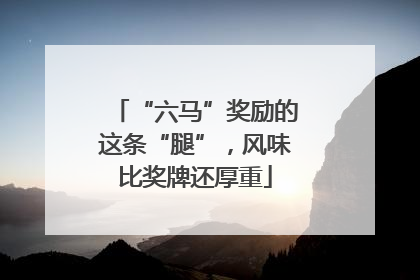 “六马”奖励的这条“腿”，风味比奖牌还厚重