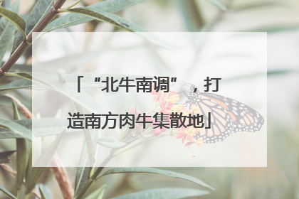 “北牛南调”，打造南方肉牛集散地
