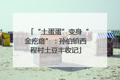 “土蛋蛋”变身“金疙瘩”：孙伯镇西程村土豆丰收记