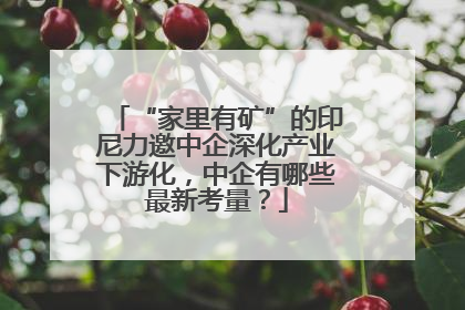 “家里有矿”的印尼力邀中企深化产业下游化，中企有哪些最新考量？