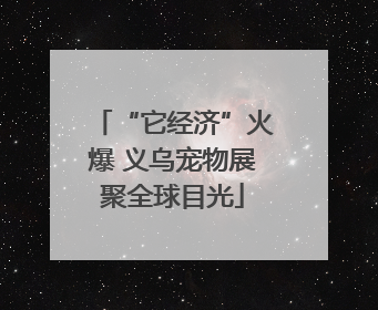 “它经济”火爆 义乌宠物展聚全球目光