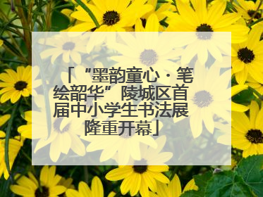 “墨韵童心・笔绘韶华”陵城区首届中小学生书法展隆重开幕