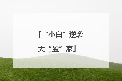 “小白”逆袭大“盈”家