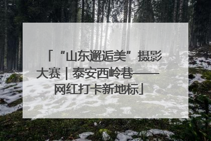 “山东邂逅美”摄影大赛｜泰安西岭巷——网红打卡新地标