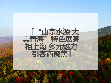 “山宗水源·大美青海”特色展亮相上海 多元魅力引客商聚焦