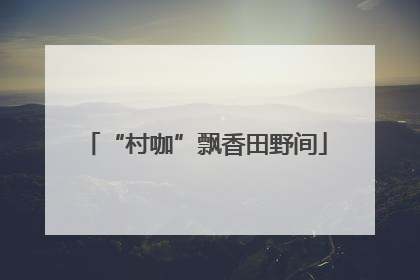 “村咖”飘香田野间