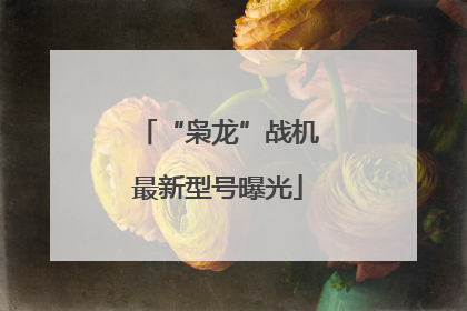 “枭龙”战机最新型号曝光