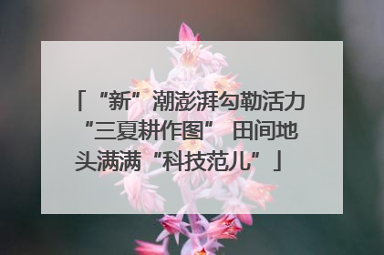 “新”潮澎湃勾勒活力“三夏耕作图” 田间地头满满“科技范儿”
