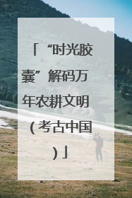 “时光胶囊”解码万年农耕文明（考古中国）