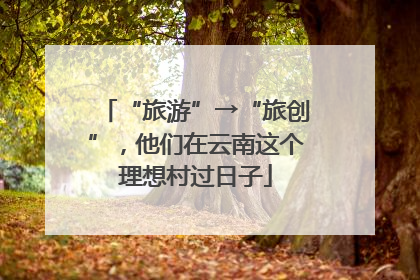 “旅游”→“旅创”，他们在云南这个理想村过日子