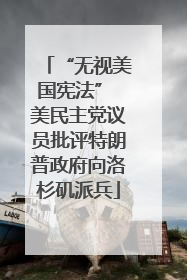 “无视美国宪法” 美民主党议员批评特朗普政府向洛杉矶派兵
