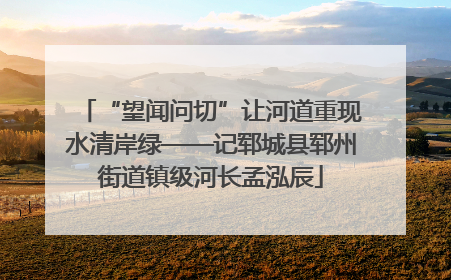 “望闻问切”让河道重现水清岸绿——记郓城县郓州街道镇级河长孟泓辰
